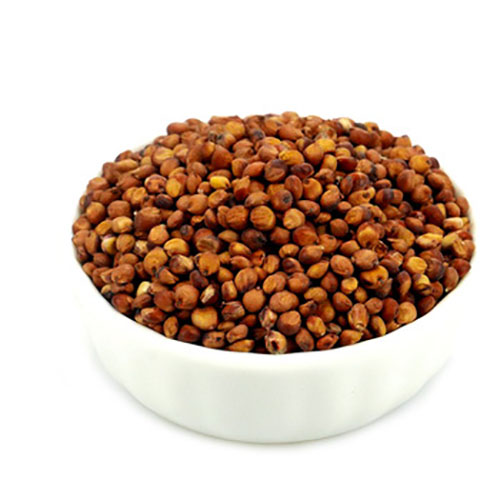 Sorghum.jpg