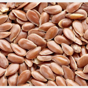 Lin Seed