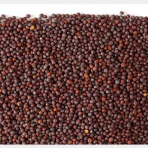 Mustard Seed