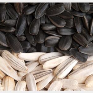 Sunflower Seed